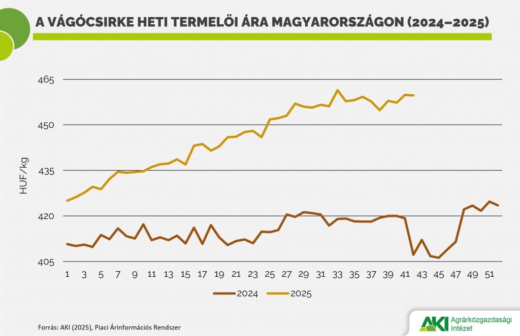 A vágócsirke heti termelői ára Magyarországon (2024–2025)
