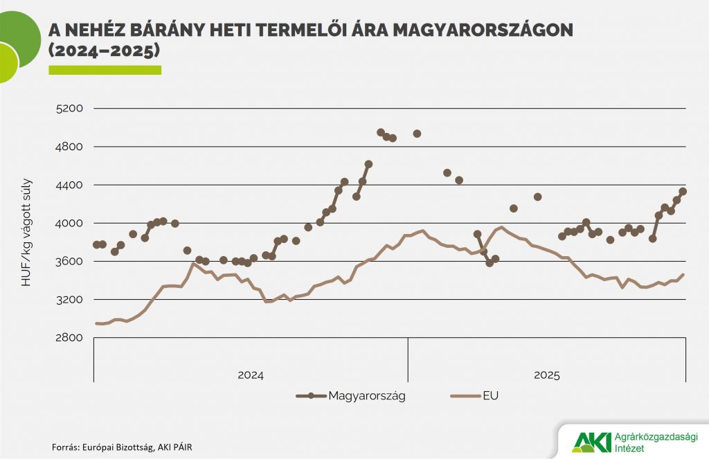 Nehéz_bárány_ára