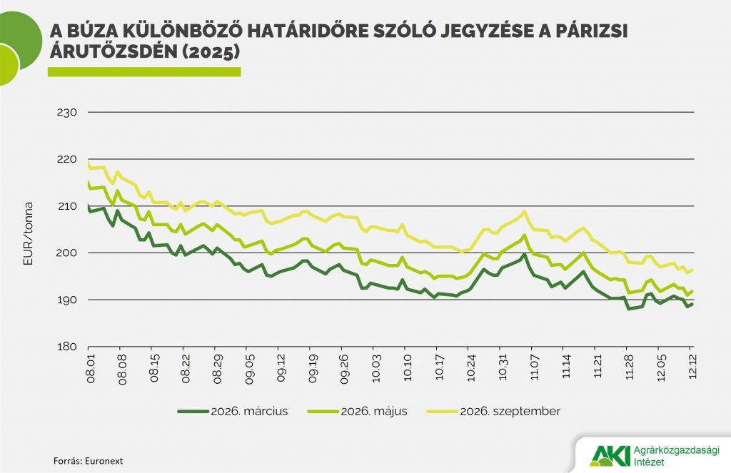 Búza_jegyzése Búza jegyzése