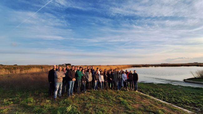 Nenuphar projekt, Spanyolország