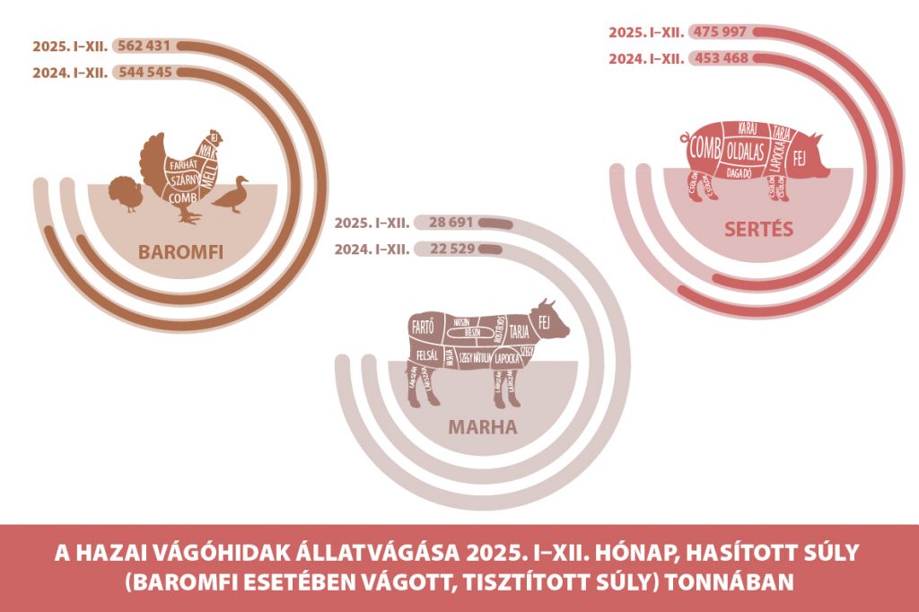 Vágóhidak állatvágása 2025