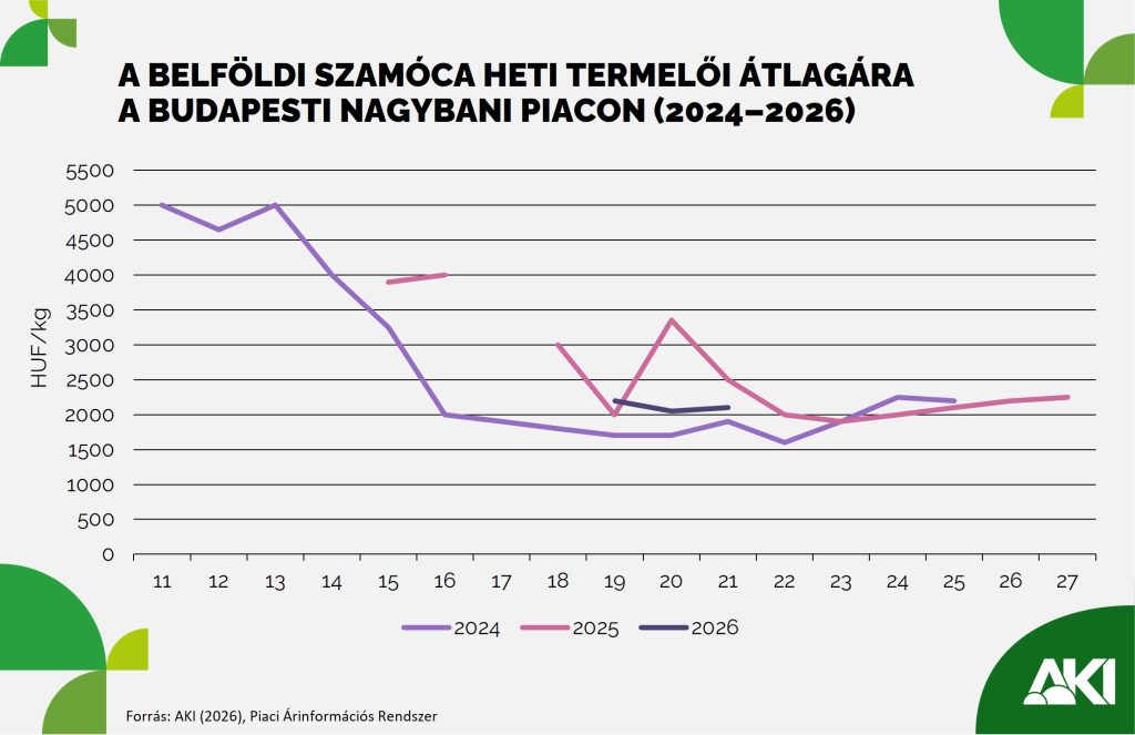 A belföldi szamóca heti termelői átlagára a Budapesti Nagybani Piacon (2024–2026)