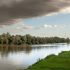 Tisza