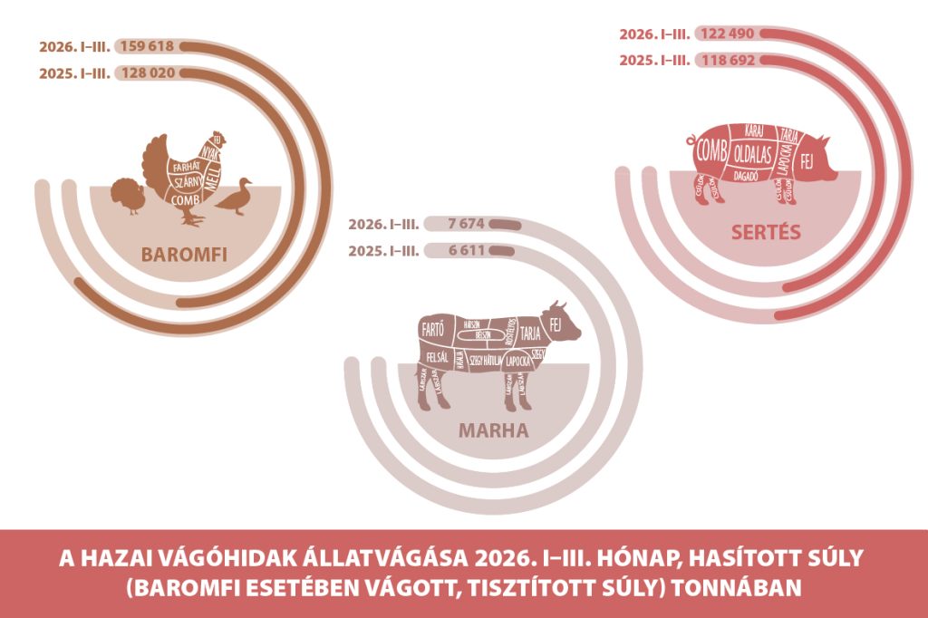 Vágóhidak állatvágása