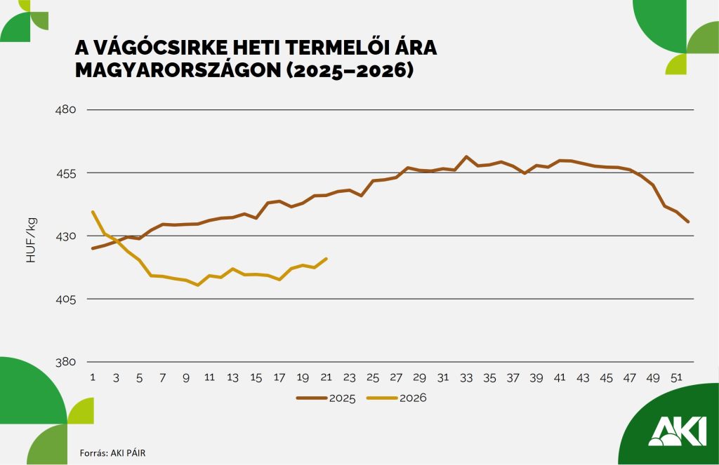 Vágócsirke termelői ára