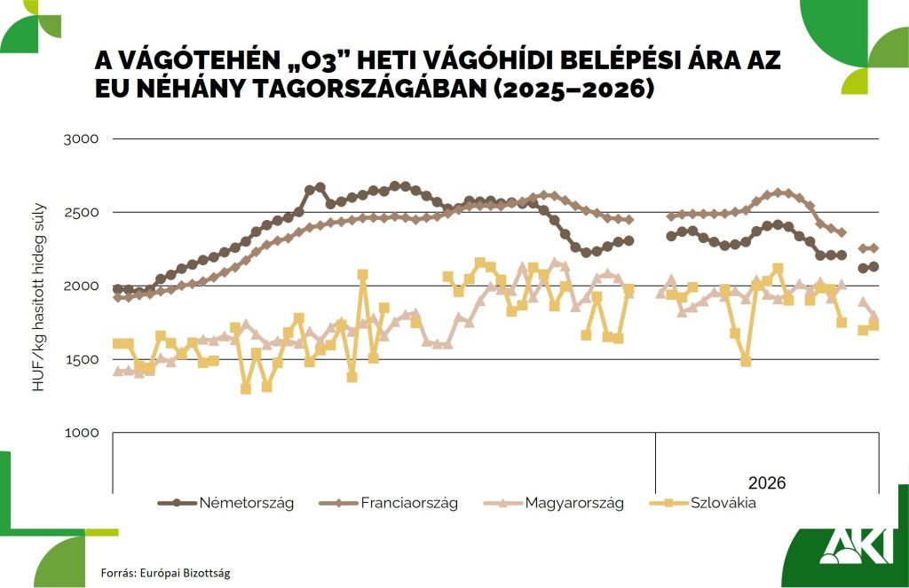 Vágótehén_ára Vágótehén ára